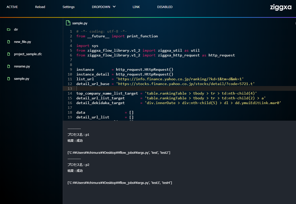 ziggxa flow IDE